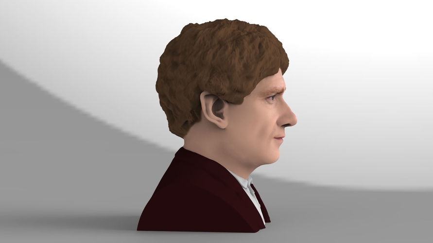Bilbo Baggins Hobbit bust ready for full color 3D printing 3D Print 231587