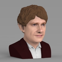 Bilbo Baggins Hobbit bust ready for full color 3D printing - Thumbnail 7