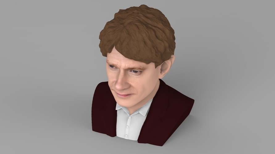 Bilbo Baggins Hobbit bust ready for full color 3D printing 3D Print 231590