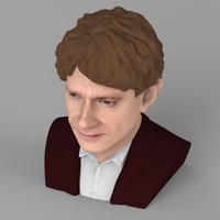 Bilbo Baggins Hobbit bust ready for full color 3D printing - Thumbnail 9