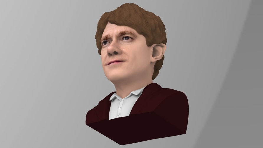 Bilbo Baggins Hobbit bust ready for full color 3D printing 3D Print 231591