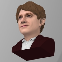 Bilbo Baggins Hobbit bust ready for full color 3D printing - Thumbnail 10