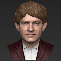 Bilbo Baggins Hobbit bust ready for full color 3D printing - Thumbnail 11