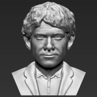 Bilbo Baggins Hobbit bust ready for full color 3D printing - Thumbnail 13
