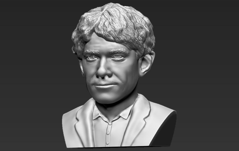 Bilbo Baggins Hobbit bust ready for full color 3D printing 3D Print 231595