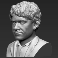 Bilbo Baggins Hobbit bust ready for full color 3D printing - Thumbnail 15