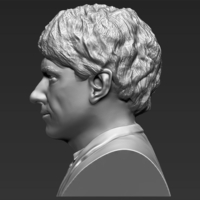 Bilbo Baggins Hobbit bust ready for full color 3D printing - Thumbnail 16