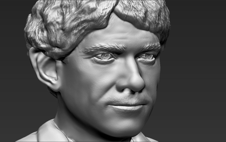 Bilbo Baggins Hobbit bust ready for full color 3D printing 3D Print 231599