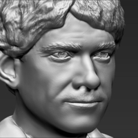 Bilbo Baggins Hobbit bust ready for full color 3D printing - Thumbnail 18