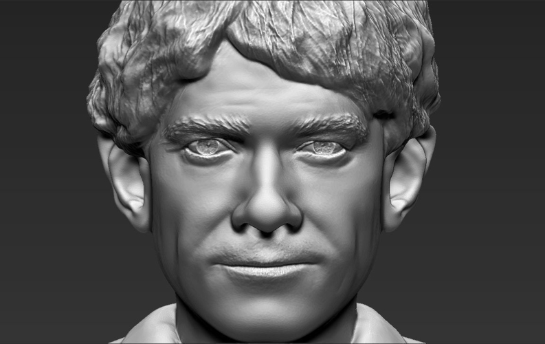 Bilbo Baggins Hobbit bust ready for full color 3D printing 3D Print 231600