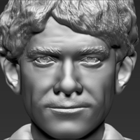 Bilbo Baggins Hobbit bust ready for full color 3D printing - Thumbnail 19
