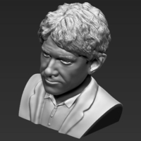 Bilbo Baggins Hobbit bust ready for full color 3D printing - Thumbnail 21