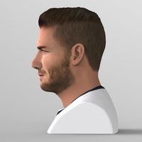 David Beckham bust ready for full color 3D printing - Thumbnail 5