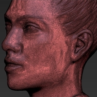 Jennifer Lopez bust 3D printing ready stl obj - Thumbnail 13