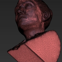 Jennifer Lopez bust ready for full color 3D printing - Thumbnail 24