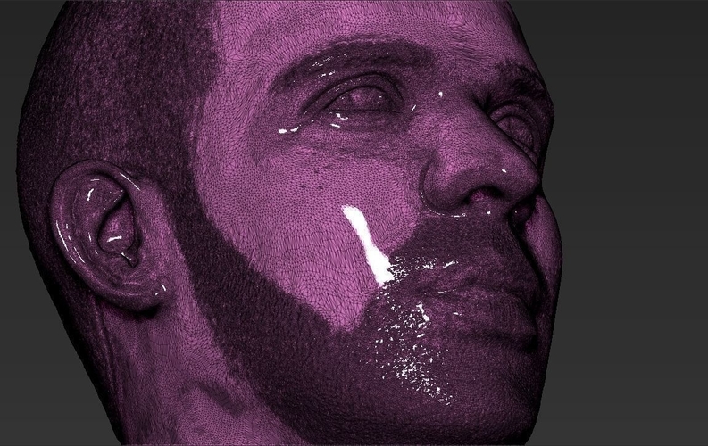 Drake bust 3D printing ready stl obj 3D Print 231736