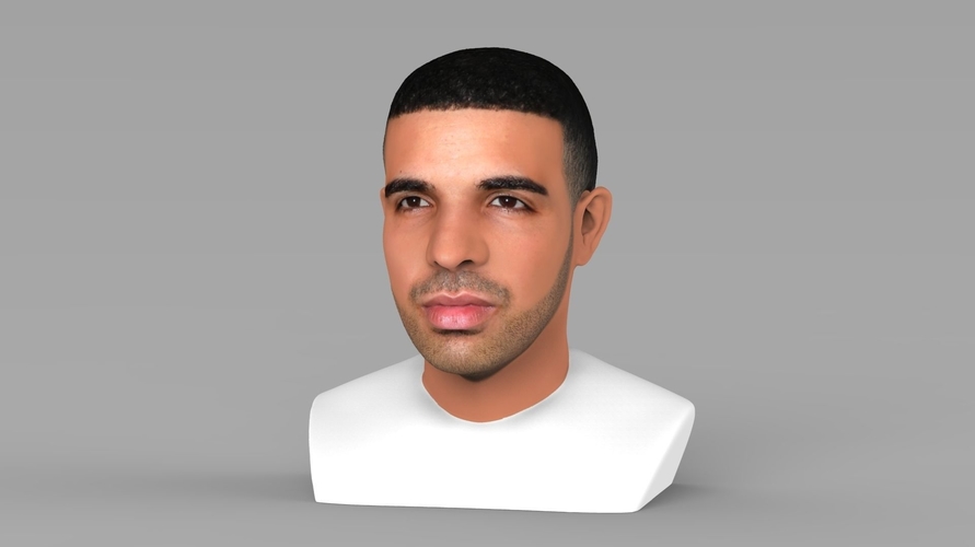 Drake bust ready for full color 3D printing 3D Print 231738