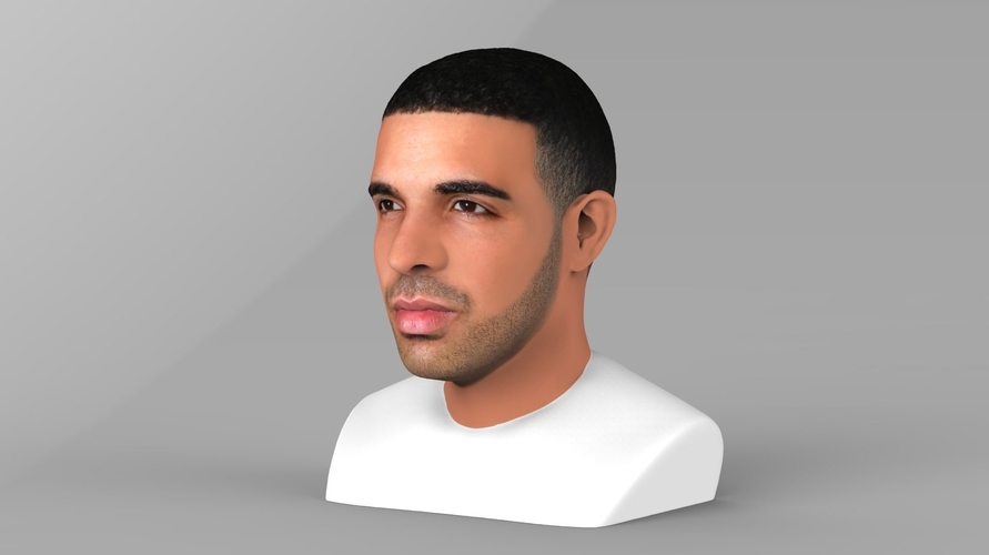 Drake bust ready for full color 3D printing 3D Print 231739