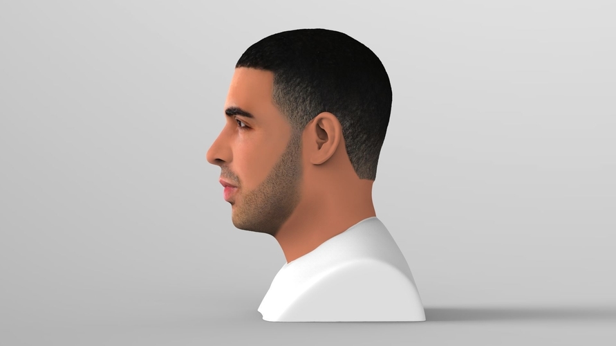 Drake bust ready for full color 3D printing 3D Print 231741