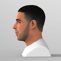 Drake bust ready for full color 3D printing - Thumbnail 5