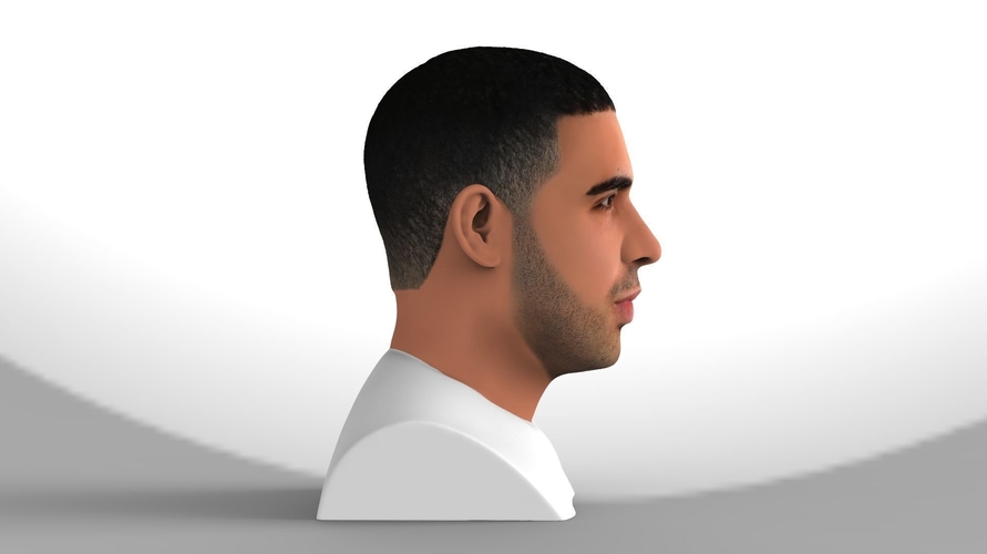 Drake bust ready for full color 3D printing 3D Print 231742