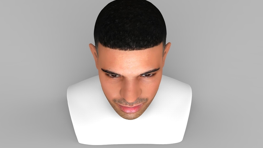 Drake bust ready for full color 3D printing 3D Print 231744