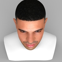 Drake bust ready for full color 3D printing - Thumbnail 8