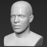 Drake bust ready for full color 3D printing - Thumbnail 13