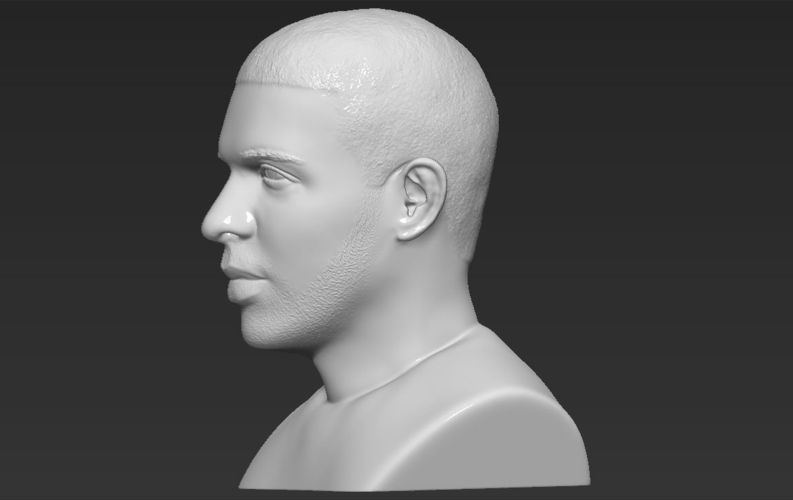 Drake bust ready for full color 3D printing 3D Print 231751