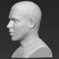 Drake bust ready for full color 3D printing - Thumbnail 15