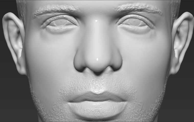 Drake bust ready for full color 3D printing 3D Print 231756