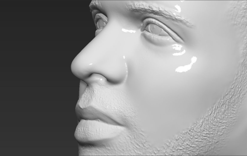 Drake bust ready for full color 3D printing 3D Print 231757