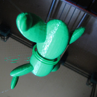 Support Free Cactus - Thumbnail 2