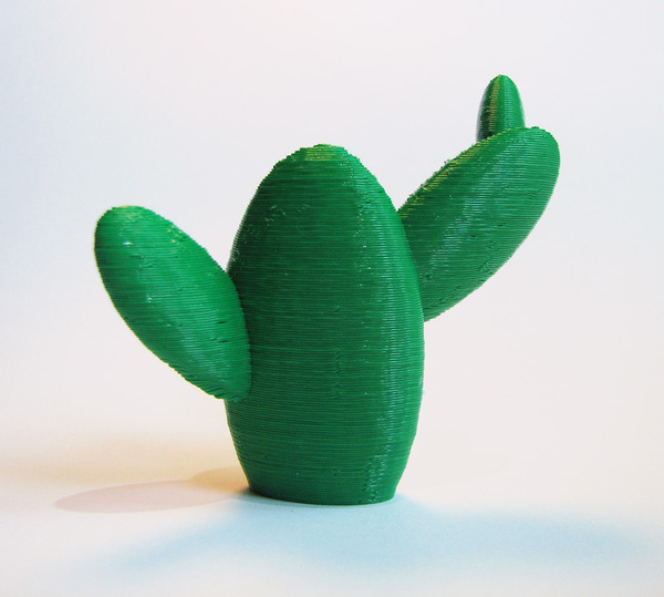 Medium Support Free Cactus 3D Printing 23182