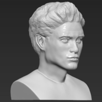 Edward Cullen Twilight Pattinson bust full color 3D printing - Thumbnail 15
