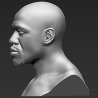 Floyd Mayweather bust 3D printing ready stl obj - Thumbnail 3