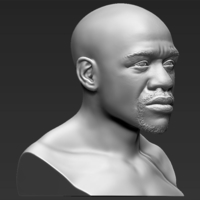 Floyd Mayweather bust 3D printing ready stl obj - Thumbnail 7