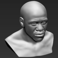Floyd Mayweather bust 3D printing ready stl obj - Thumbnail 10