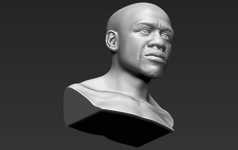 Floyd Mayweather bust 3D printing ready stl obj 3D Print 231846