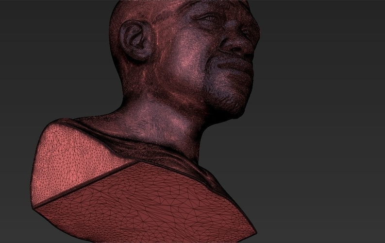 Floyd Mayweather bust 3D printing ready stl obj 3D Print 231851