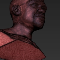Floyd Mayweather bust 3D printing ready stl obj - Thumbnail 16