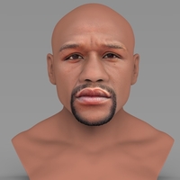 Small Floyd Mayweather bust ready for full color 3D printing 3D Printing 231852