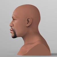 Floyd Mayweather bust ready for full color 3D printing - Thumbnail 4