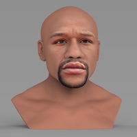 Floyd Mayweather bust ready for full color 3D printing - Thumbnail 7