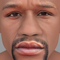 Floyd Mayweather bust ready for full color 3D printing - Thumbnail 8