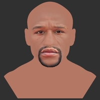 Floyd Mayweather bust ready for full color 3D printing - Thumbnail 12