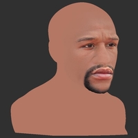 Floyd Mayweather bust ready for full color 3D printing - Thumbnail 13