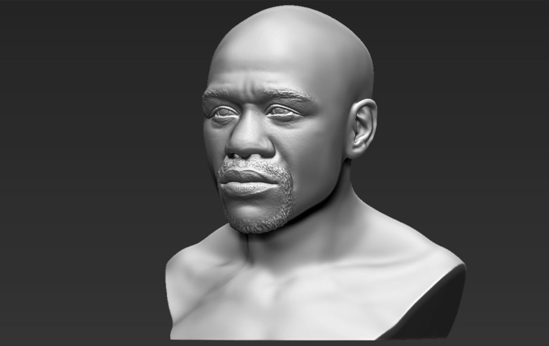 Floyd Mayweather bust ready for full color 3D printing 3D Print 231866