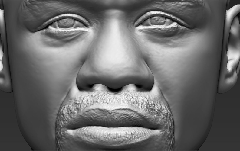 Floyd Mayweather bust ready for full color 3D printing 3D Print 231872