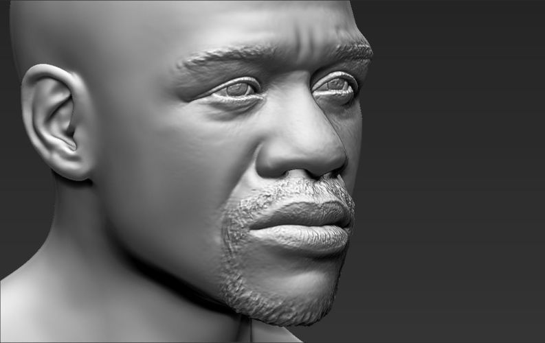 Floyd Mayweather bust ready for full color 3D printing 3D Print 231874